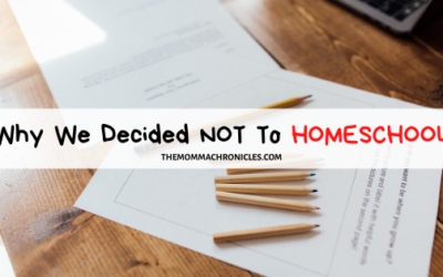 Why We Decided not to Homeschool + 10 Questions You Need to Ask Before You Homeschool