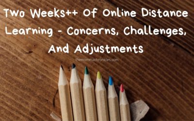 Online Distance Learning, So Far, So Good?