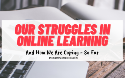Our Struggles With Online Distance Learning And How We Overcome Them